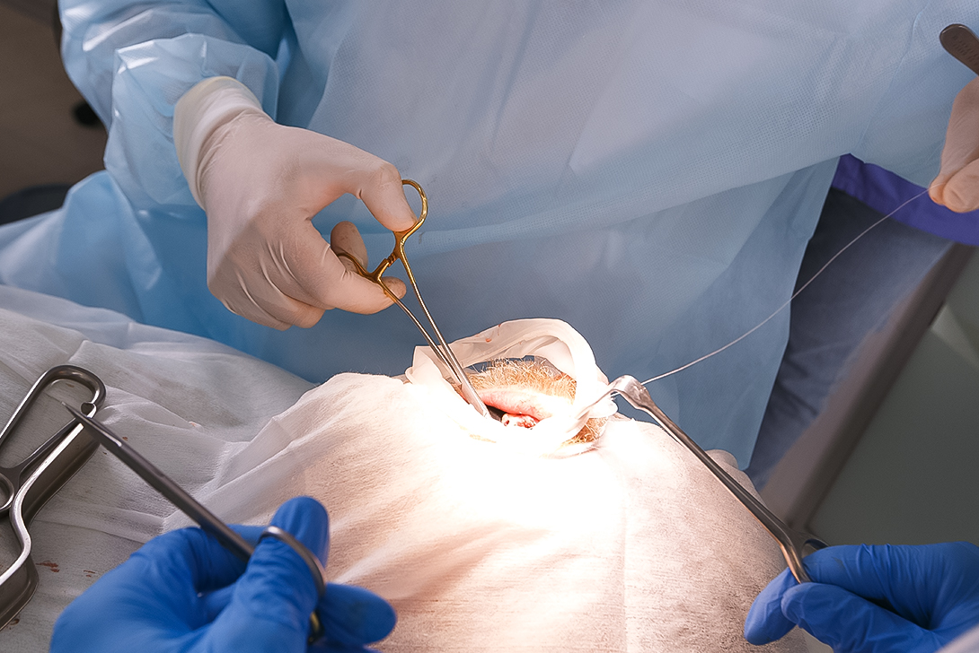 歯科口腔外科｜橋本駅の歯医者　翼歯科口腔クリニック